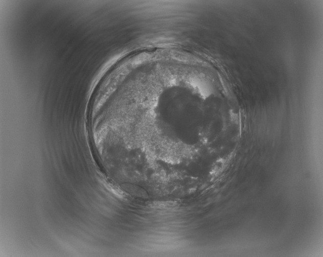 X0000064720147200603031624