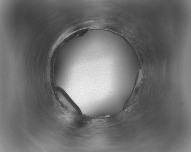 X0000064720150200603031625