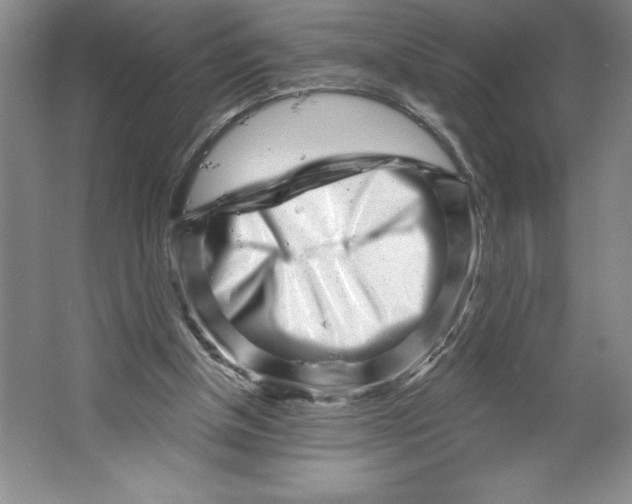 X0000064720154200603031625