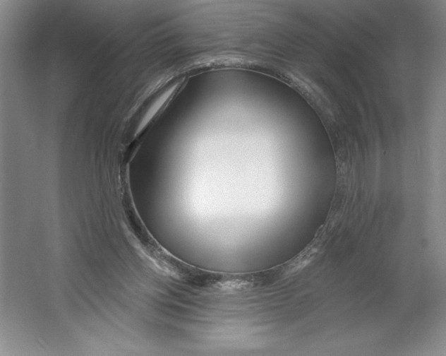 X0000064720158200603031625