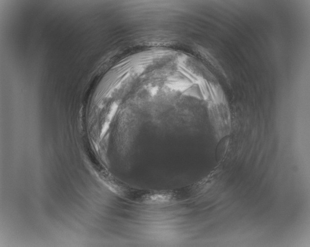 X0000064720163200603031625