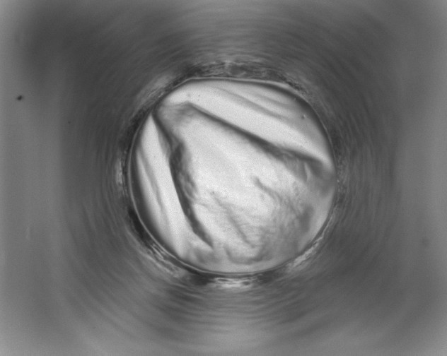 X0000064720166200603031625