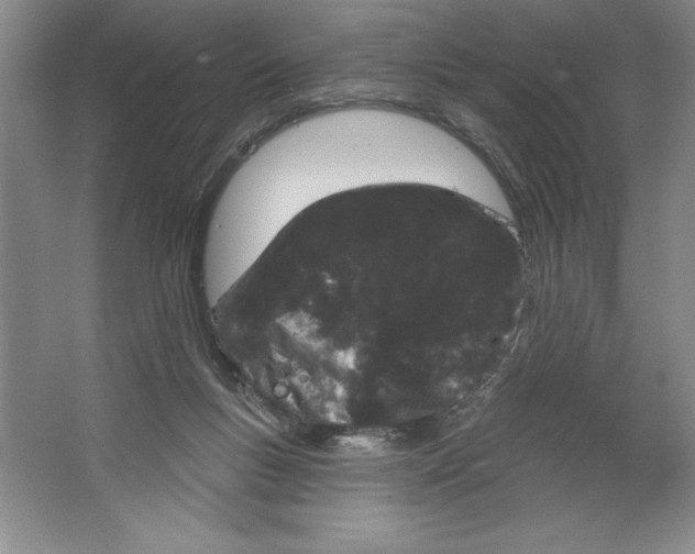 X0000064720167200603031625