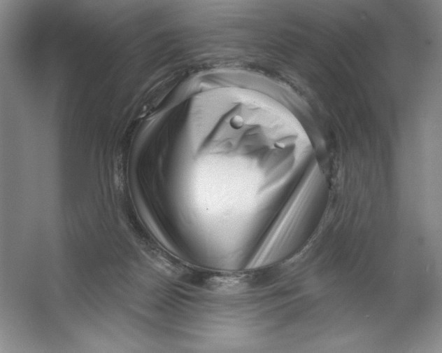 X0000064720170200603031625