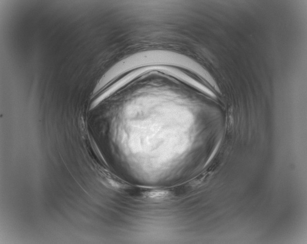 X0000064720173200603031625