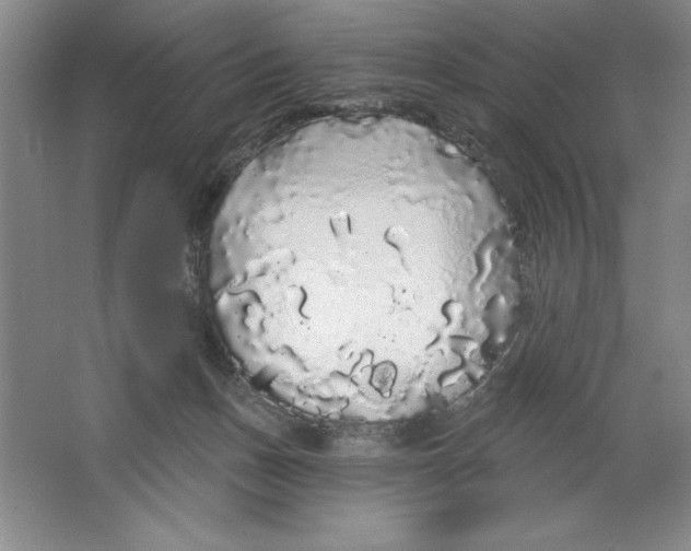 X0000064720175200603031625