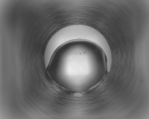 X0000064720176200603031625