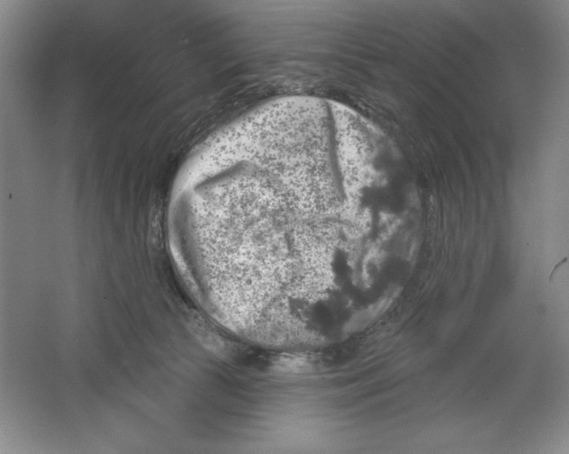 X0000064720177200603031625