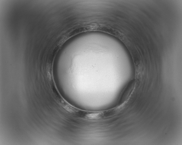 X0000064720178200603031625