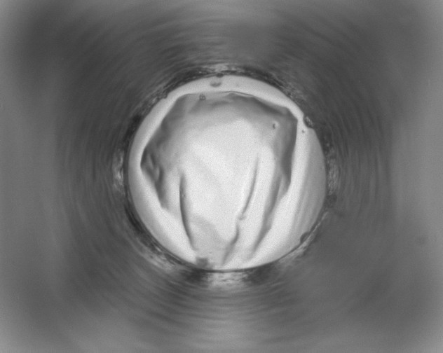 X0000064720179200603031625