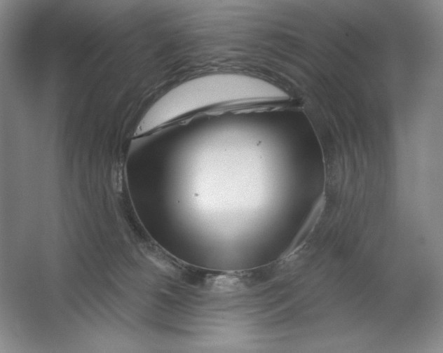 X0000064720180200603031625