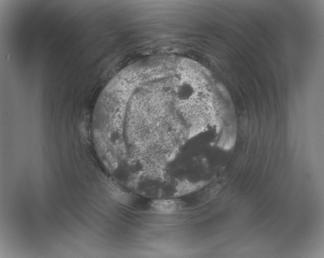 X0000064720181200603031625