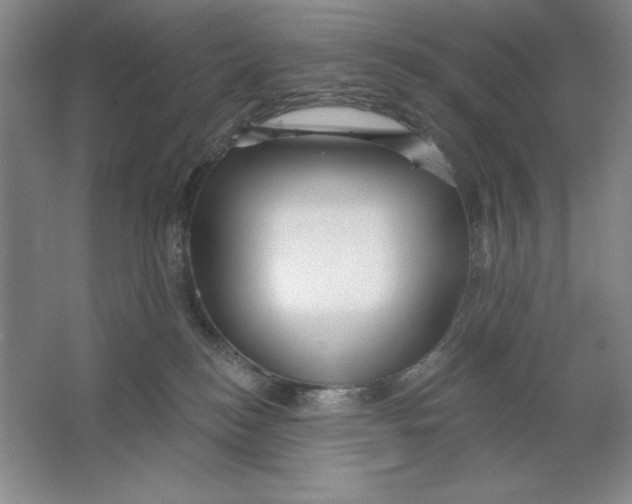 X0000064720184200603031625