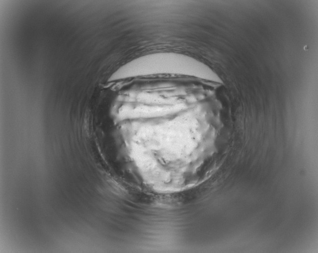 X0000064720185200603031625