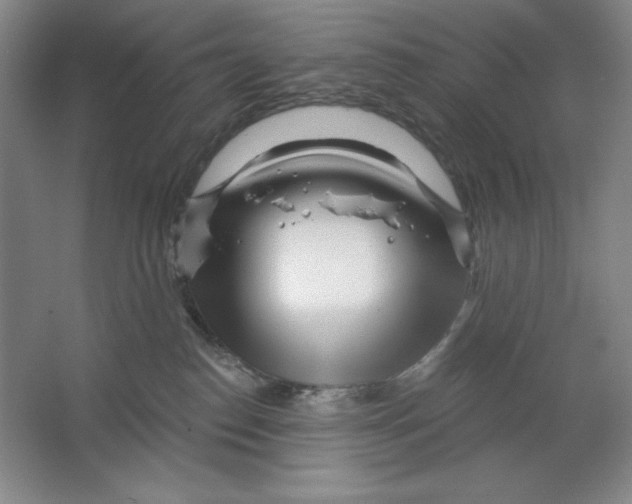 X0000064720186200603031625