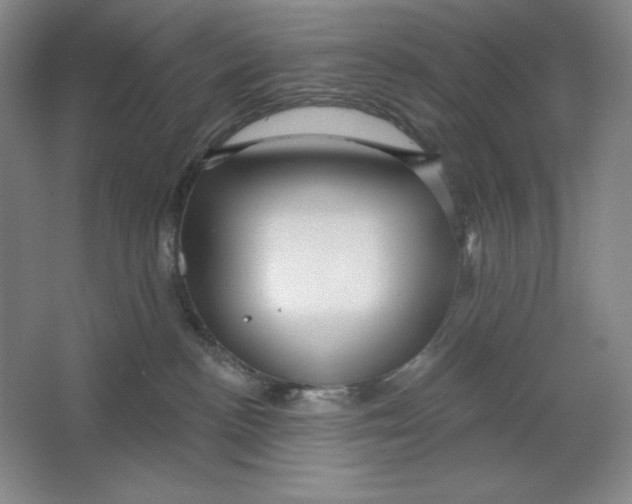 X0000064720188200603031625