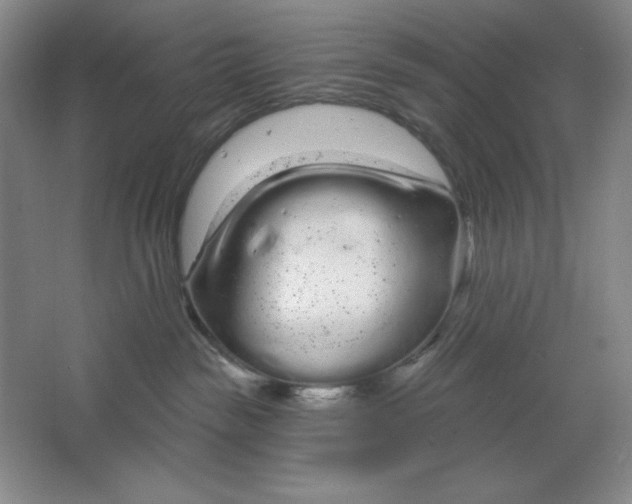 X0000064720189200603031625