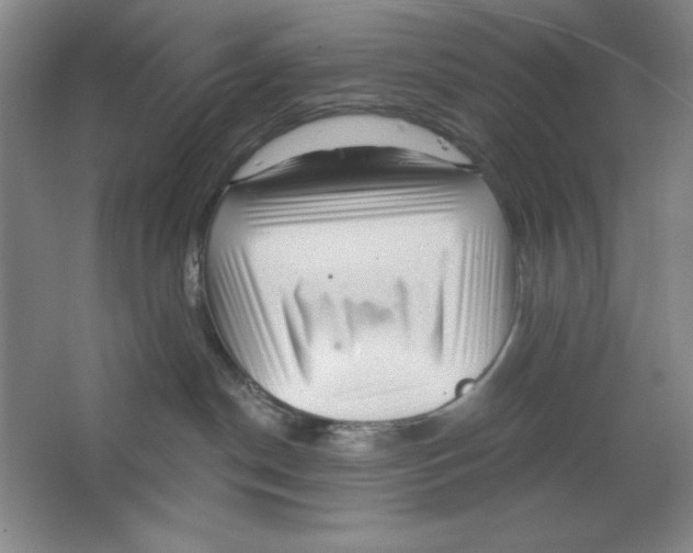 X0000064720190200603031625
