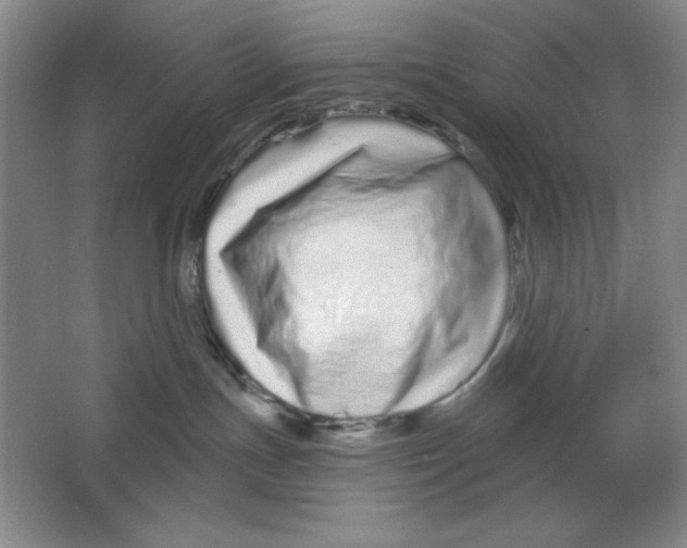 X0000064720191200603031625