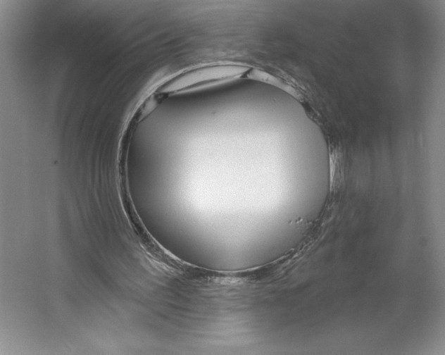 X0000064720195200603031624