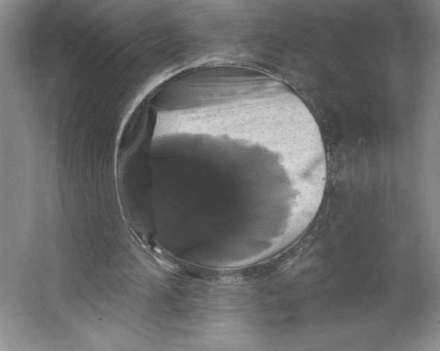 X0000064720196200603031624