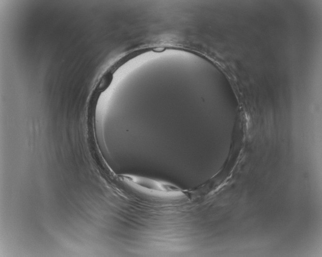 X0000064720200200603031624