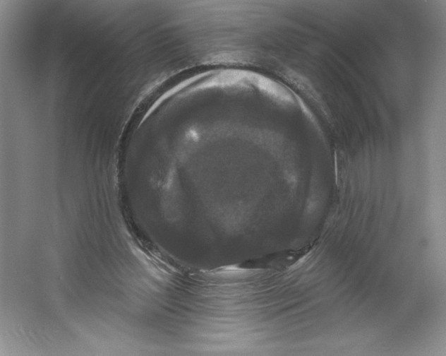 X0000064720204200603031624