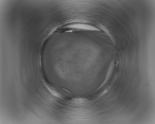 X0000064720205200603031624