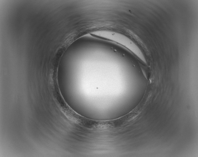 X0000064720209200603031624