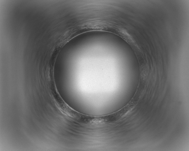 X0000064720213200603031624