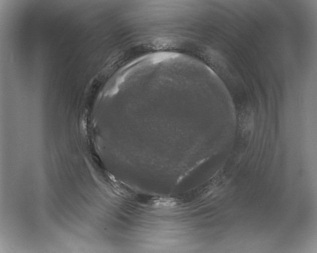 X0000064720214200603031624
