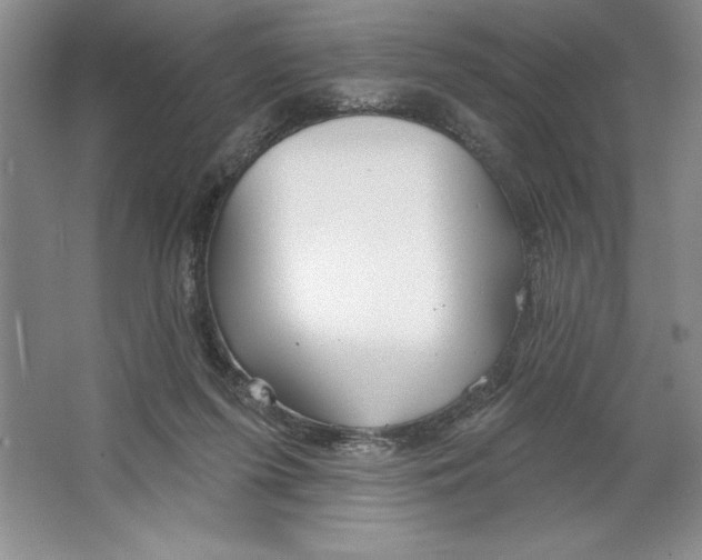 X0000064720215200603031624