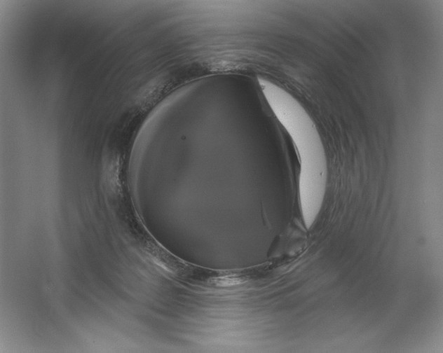 X0000064720219200603031624