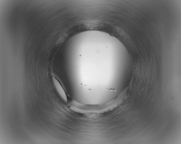 X0000064720221200603031624