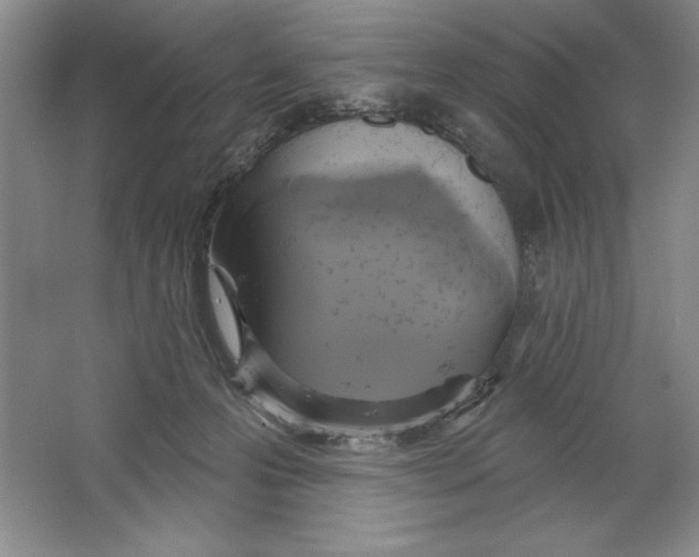 X0000064720223200603031624