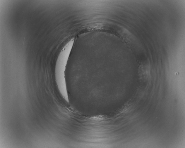 X0000064720224200603031624