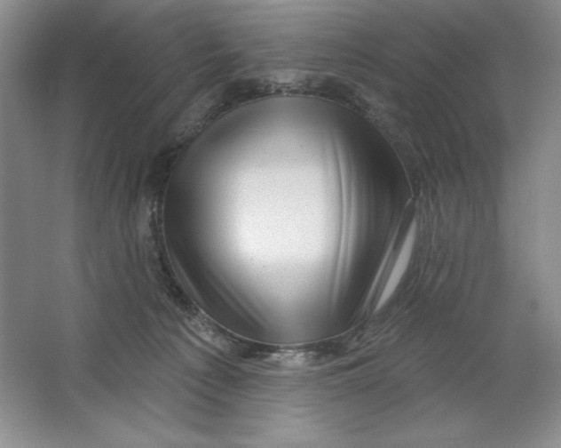 X0000064720225200603031624