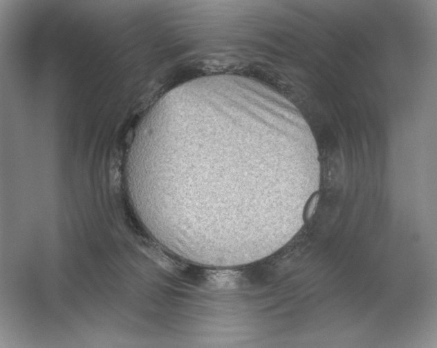 X0000064720226200603031624