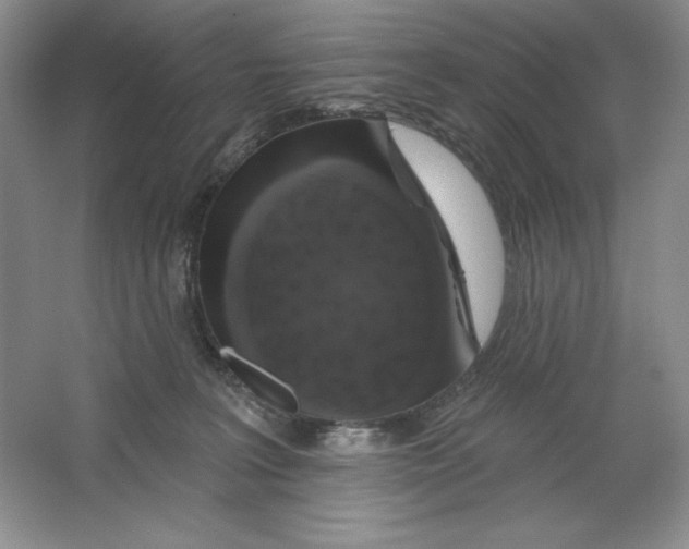 X0000064720227200603031624