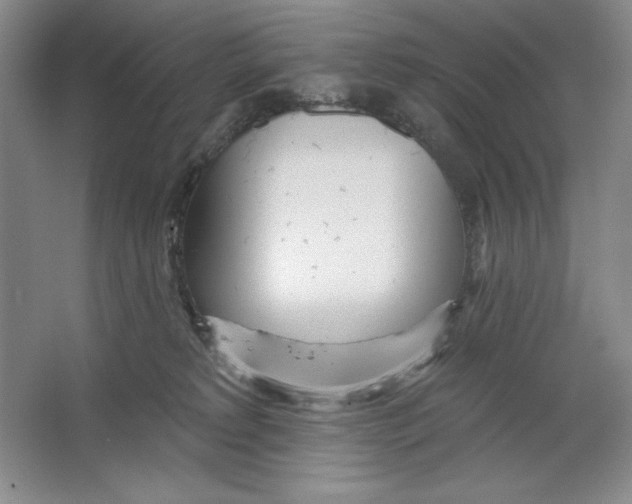 X0000064720229200603031624