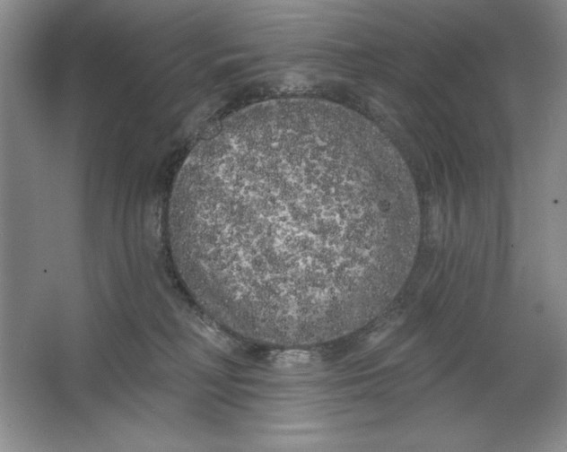 X0000064720230200603031624