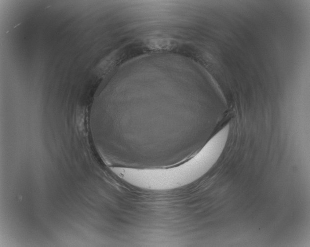X0000064720233200603031624