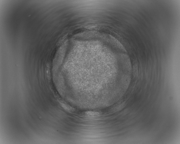 X0000064720234200603031624