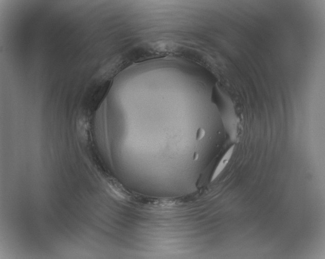 X0000064720235200603031624