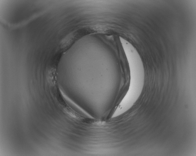 X0000064720237200603031624