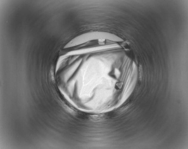 X0000064720238200603031624