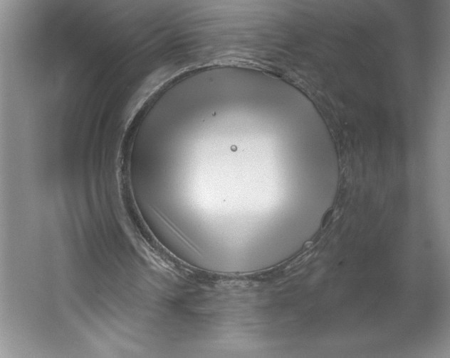 X0000064720242200603031623