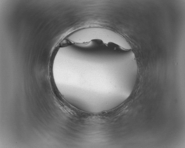 X0000064720244200603031623