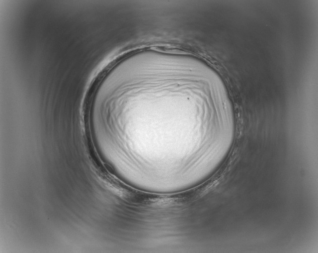 X0000064720246200603031623