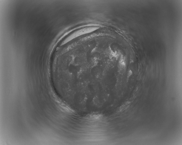 X0000064720247200603031623